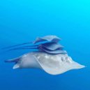 Trance Traxx - 05.22.2022.