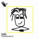 Sediis - The Healing Moment (Original Mix)