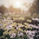 Night Sky - Joyful