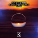 Frenetik - Secret of Life (Original Mix)