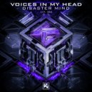 Disaster Mind - Voices in my Head (Original Mix)