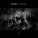P.T.B.S. - No Escape (Original Mix)