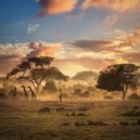 Kalina - Afrohouse mix #1