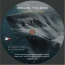Israel Toledo - Nobody is Forever (Original mix)