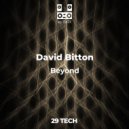 David Bitton - Confusion (original)