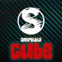 amphibia - Cube