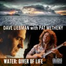 Dave Liebman & Pat Metheny & Billy Hart & Cecil McBee - Water: Giver of Life (feat. Cecil McBee) (from The Elements - Water)
