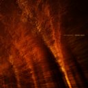 Canopy  - Incandescent (Thinnen Remix)