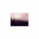 Mindfulness Healing Sleep BGM Project - Down & Rhythm (Sleep BGM)