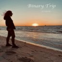 Binary Trip - ILVAITE (Original Mix)