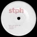 Matt The House Fox - You Will See (Original Mix)