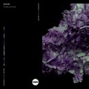 DUTUM - Everlasting