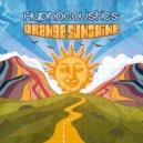 Hypnocoustics - Orange Sunshine (Original Mix)
