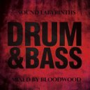 BloodWood - Sound Labyrinths (DNB 02.07.2022)