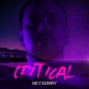 Hey Sonny - Critical