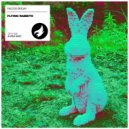 Falcos Deejay - Flying Rabbits (Original Mix)
