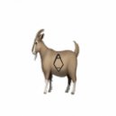 ANOM ALEEZ - Letters Numbers ()