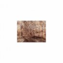 Mindfulness Healing Sleep BGM Project - Power & Hearing