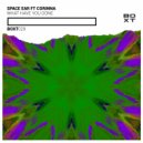 Space Ear - What Have You Done