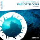 David Yarrow meets Jue - Spirits Of The Ocean (Original Mix)