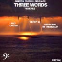 Alberto costas  &  RedChaos  - THREE WORDS (PENGUINS IN THE BEACH Remix)