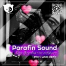 Parafin Sound - Она бредовая, она неверная