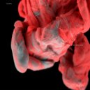 NDR - Mental Joys (Original Mix)