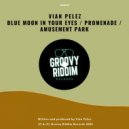 Vian Pelez - Blue Moon In Your Eyes