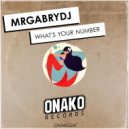 MrGabryDj - What\'s Your Number (Original Mix)
