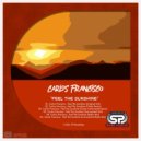Carlos Francisco - Feel The Sunshine (Kiryo Instrumental Remix)