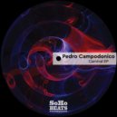 Pedro Campodonico - Transitorio