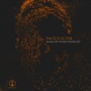 Pacius Elter - Gain of Functions (Original Mix)