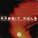 Da Fokin - Rabbit Hole (Extended Mix)