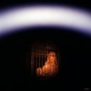Birds - The Chimes Of Solitude