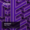 Biggoose - Nectar (Extended Mix)
