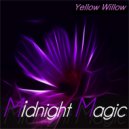 Yellow Willow - Why