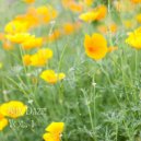 Chill & Binaural Beats Study Collective & Coffee Shop Jazz Radio - Sweet Spring Morning ()