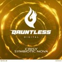 CRISY - Symbiotic Nova