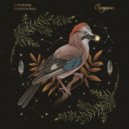 Caymane - Catch & Feel (Extended Mix)