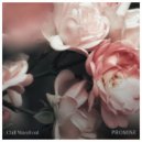 Chill Wavefront - Promise (Original Mix)
