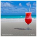 Tropical Dreamtime - Cocktail (Original Mix)