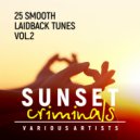 Steen Thottrup feat. Denver Knoesen - Rising Like The Sun