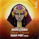 Awen, Caiiro - Your Voice (Adam Port Remix)