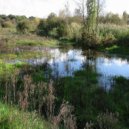 Viktor Vos - Anyhow Autumn (Original Mix)