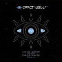 LIVA (IL) - Survive (Original Mix)