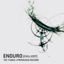 Primaudia Record & TDC Tunes - Enduro (Chill Edit)