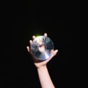 JNPI - Диффузия ()