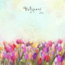 Lomi - Tulipani
