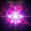 Bionic Pulse & Zivo - Shock (Original Mix)