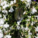 Wake - Spoon (Original Mix)